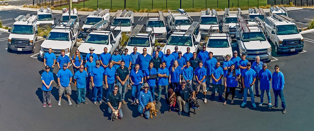 Cobalt Power Systems Team Photo with trucks in the background